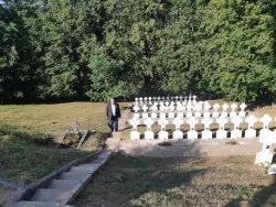 2019-08-03 Ariogalos kapinėse. Laimutės Dzimidavičiūtės nuotr.