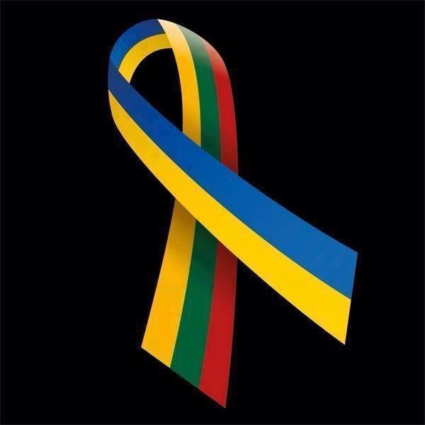 Parama Ukrainai. Kiek kainuoja Lietuvos kariuomenės kūrėjo savanorio garbė?