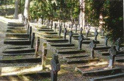 Antakalnio karių kapinės. Lenkų karių kapai