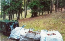 Šiukšlių konteineriai ir maišai ant lietuvių karių kapų
