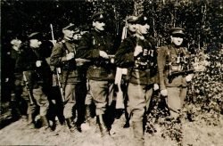 Žemaičių apygardos partizanų būrys, 1949 m.