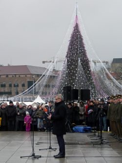 032_MA 2018-01-01 Katedros aikštėje. M.Abaravičiaus nuotr.