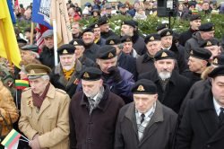 2018-02-16 S.Daukanto aikštėje A.Čiro nuotr.