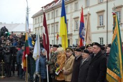 2018-02-16 S.Daukanto aikštėje A.Čiro nuotr.