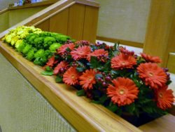 P1800692 2019-01-12 Seimo rūmuose. M.Abaravičiaus nuotr.