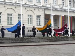 2019-02-16 S.Daukanto aikštėje. M.Abaravičiaus nuotr.