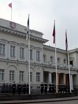 2019-02-16 S.Daukanto aikštėje. M.Abaravičiaus nuotr.