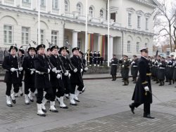 2019-02-16 S.Daukanto aikštėje. M.Abaravičiaus nuotr.