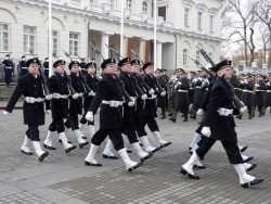 2019-02-16 S.Daukanto aikštėje. M.Abaravičiaus nuotr.