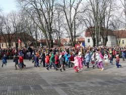 2019-02-16 S.Daukanto aikštėje. M.Abaravičiaus nuotr.