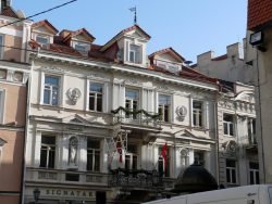 2019-02-16 Prie Lietuvos nepriklausomybės signatarų namų. M.Abaravičiaus nuotr.
