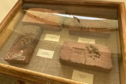 2023-10-13 „Tako“ galerijoje. A.Čiro nuotr.