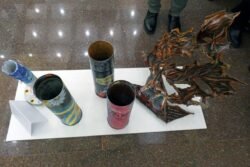 2024-02-23 Seimo rūmuose. Mindaugo Abaravičiaus nuotr.