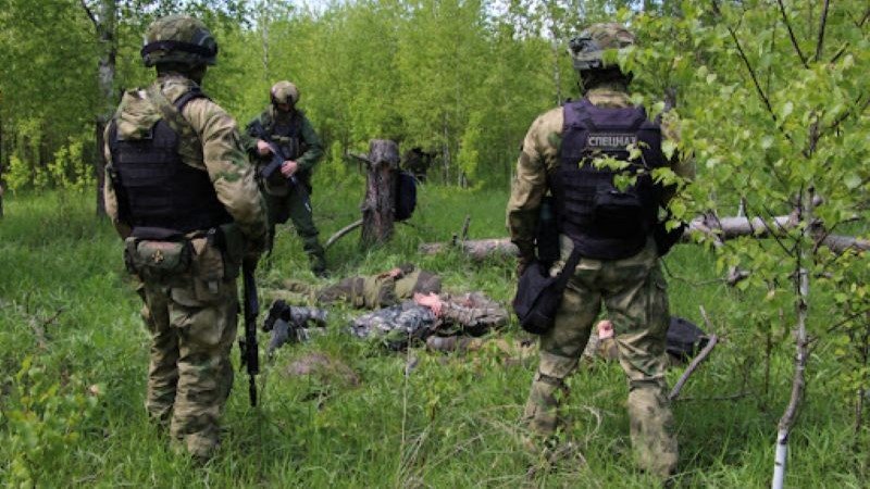Liko suskaičiuotos dienos iki pagrindinio mūšio dėl Pokrovsko. Nėra kam gintis. rusai praeina be kovos