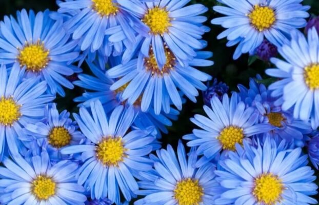 Sveikiname lapkritį gimtadienius švenčiančius skyriaus narius