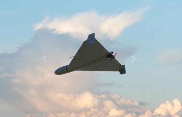 Situacija tampa nekontroliuojama. Labai tikėtina, kad vasaros puolimas bus paskutinis