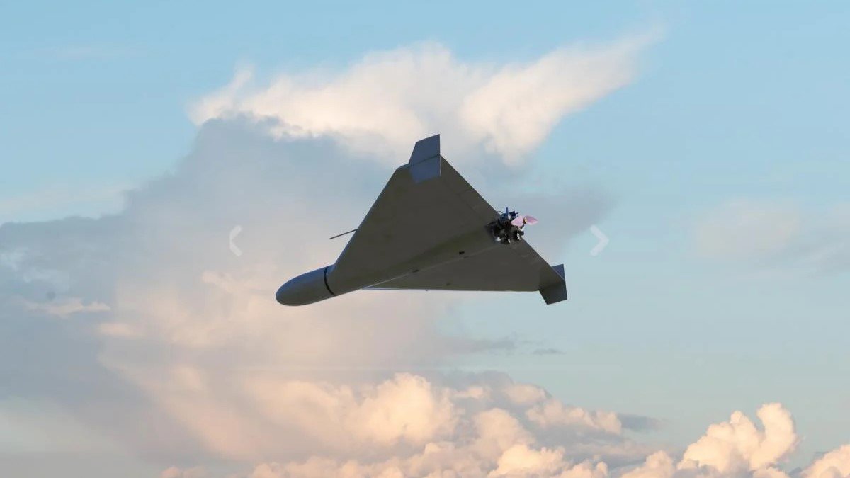 Situacija tampa nekontroliuojama. Labai tikėtina, kad vasaros puolimas bus paskutinis